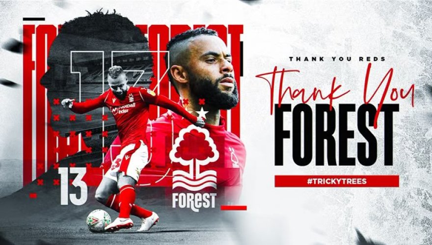 Retrouvez vidéos de forest dans notre Liste des chaînes IPTV