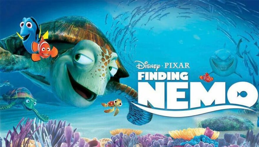 Regarder Nemo avec Abo IPTV France 4K Premium